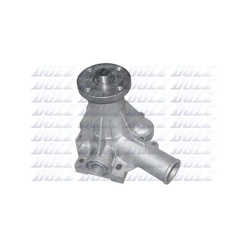 Pompe à eau DOLZ R196