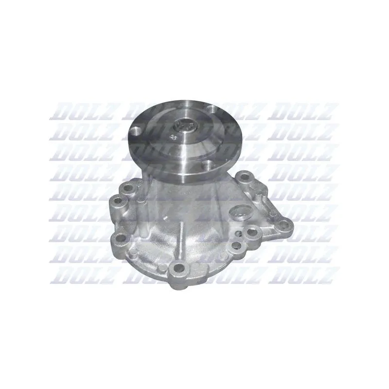 Pompe à eau DOLZ R210