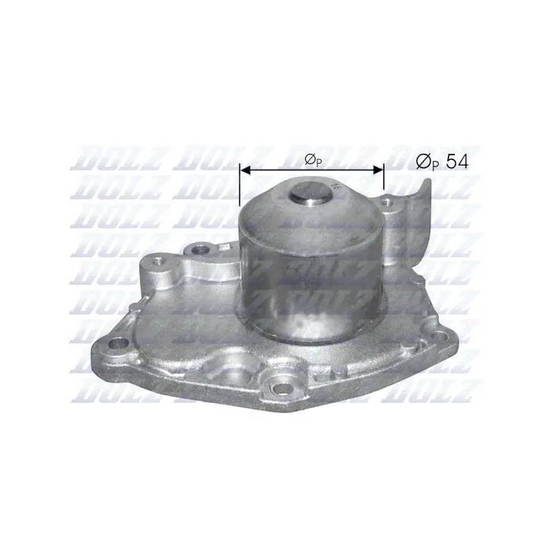 Pompe à eau DOLZ R219