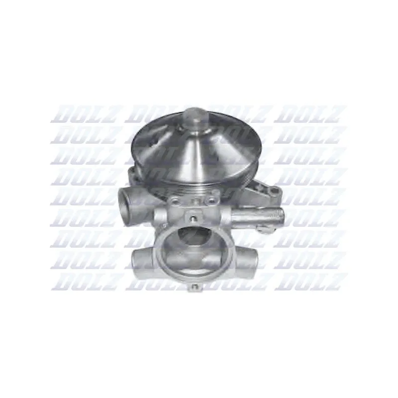 Pompe à eau DOLZ R222