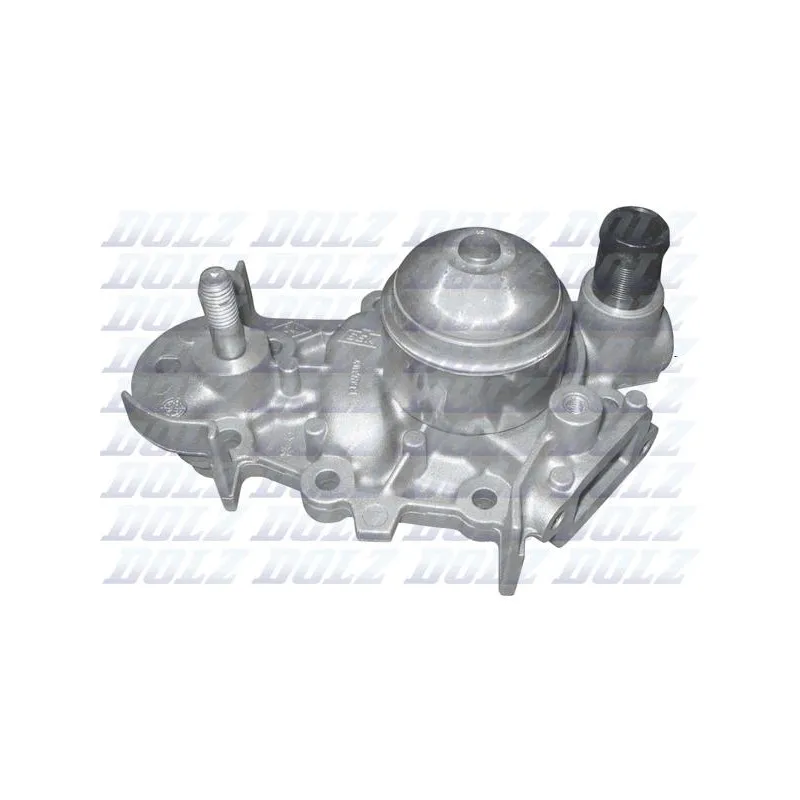 Pompe à eau DOLZ R225