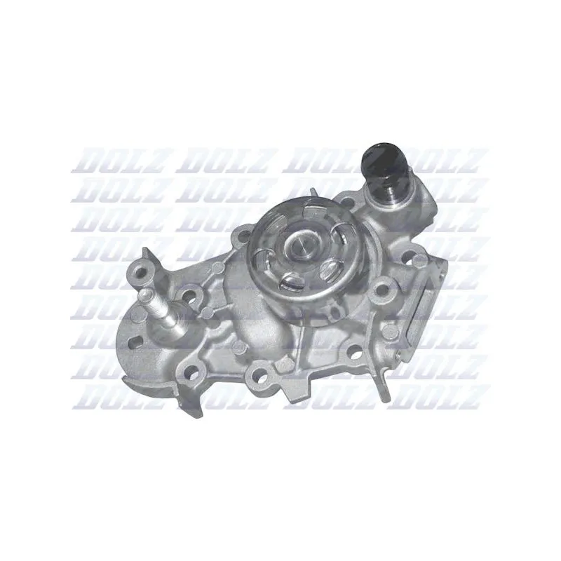 Pompe à eau DOLZ R226