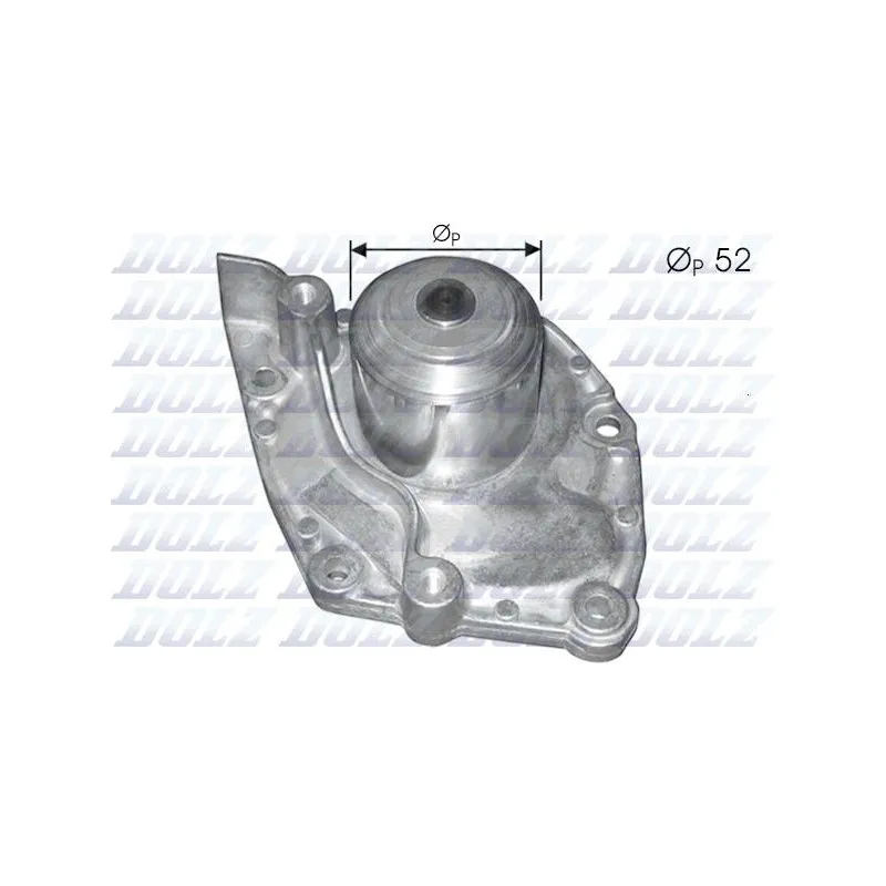 Pompe à eau DOLZ R229