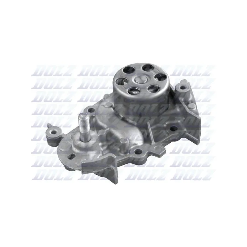 Pompe à eau DOLZ R235