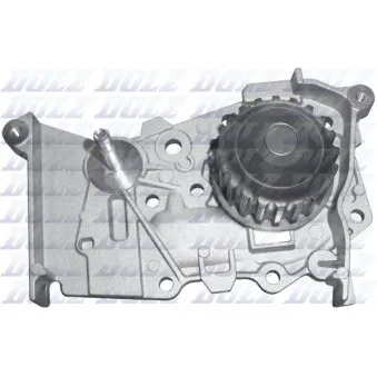 Pompe à eau DOLZ R236
