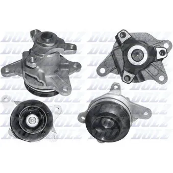 Pompe à eau DOLZ R239
