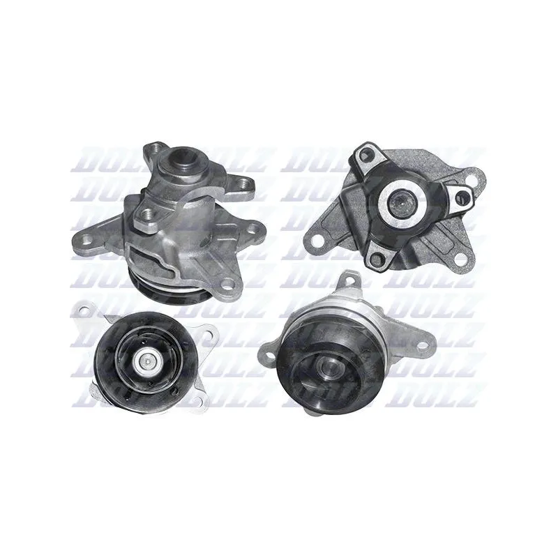 Pompe à eau DOLZ R239