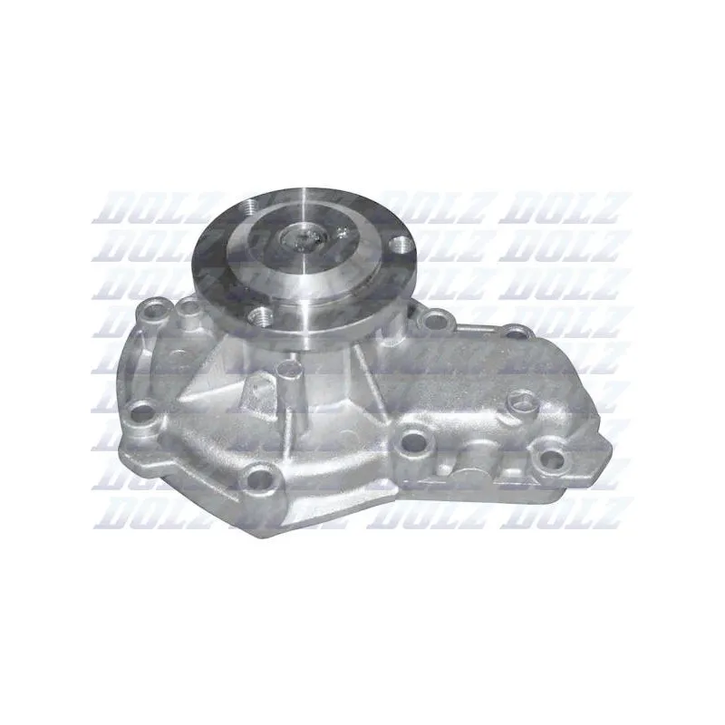 Pompe à eau DOLZ R266