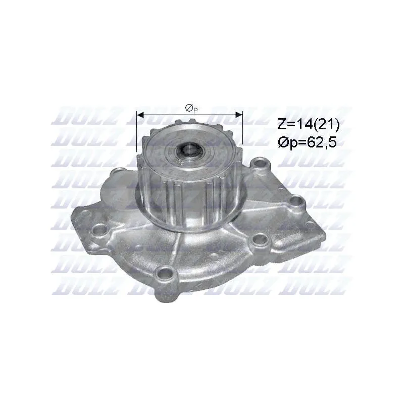 Pompe à eau DOLZ R299