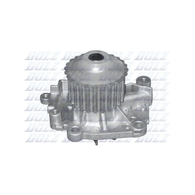 Pompe à eau DOLZ R301