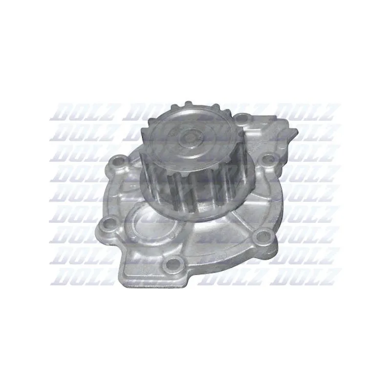 Pompe à eau DOLZ R302