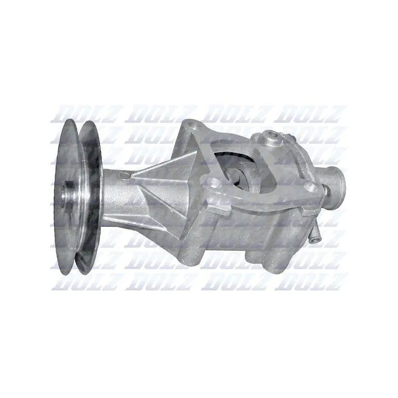 Pompe à eau DOLZ S113