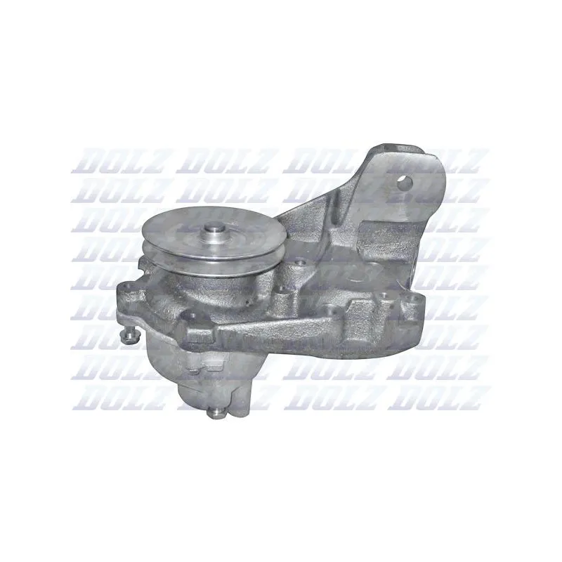 Pompe à eau DOLZ S123