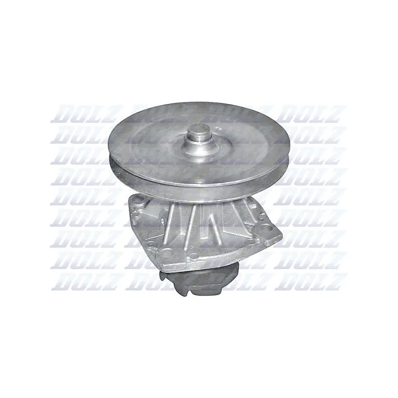 Pompe à eau DOLZ S124ST