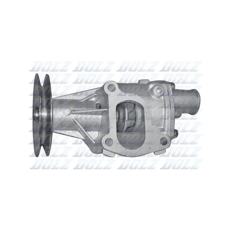 Pompe à eau DOLZ S125