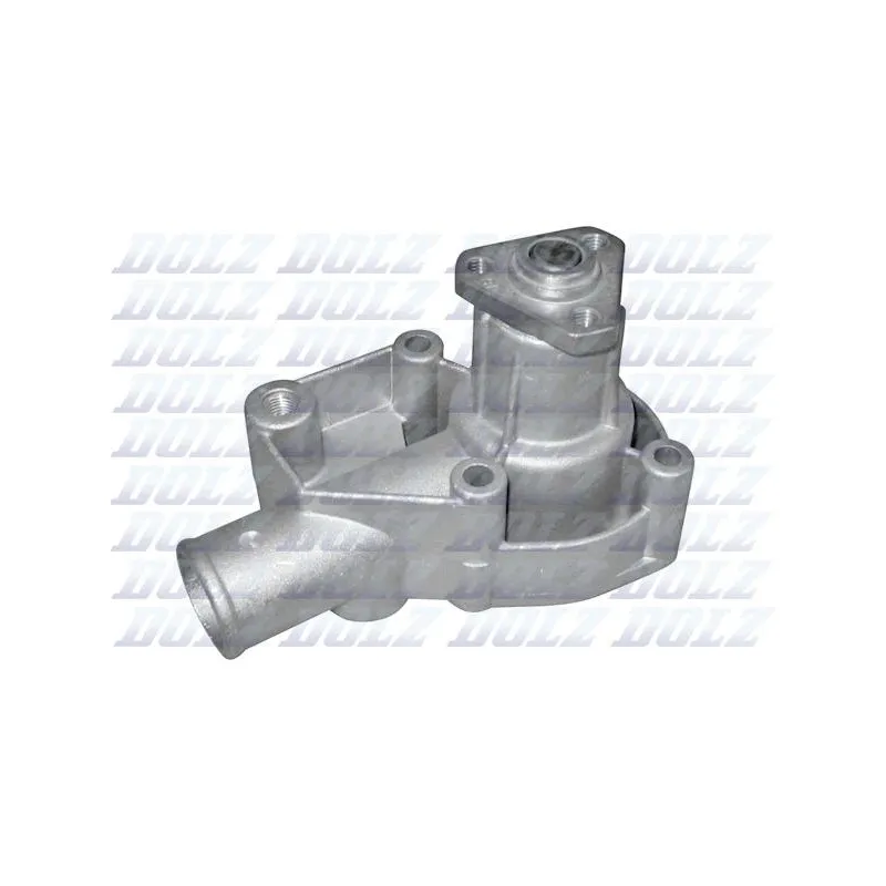 Pompe à eau DOLZ S141