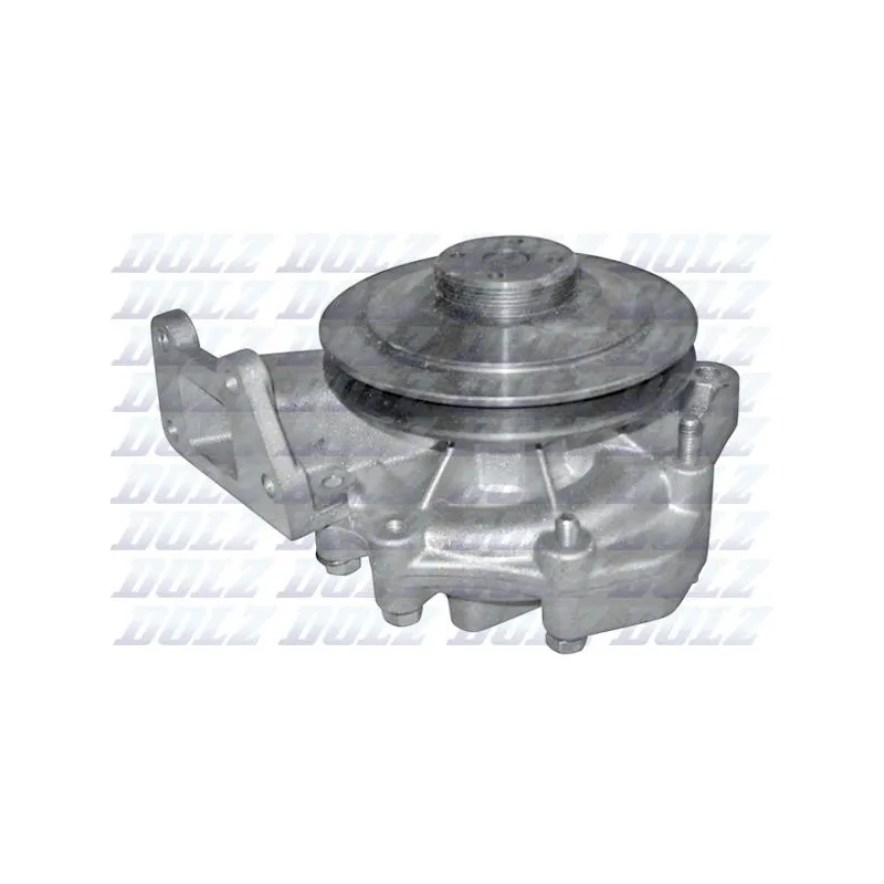 Pompe à eau DOLZ S142