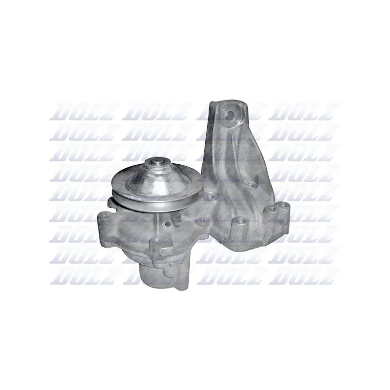 Pompe à eau DOLZ S144