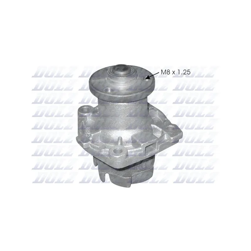 Pompe à eau DOLZ S148
