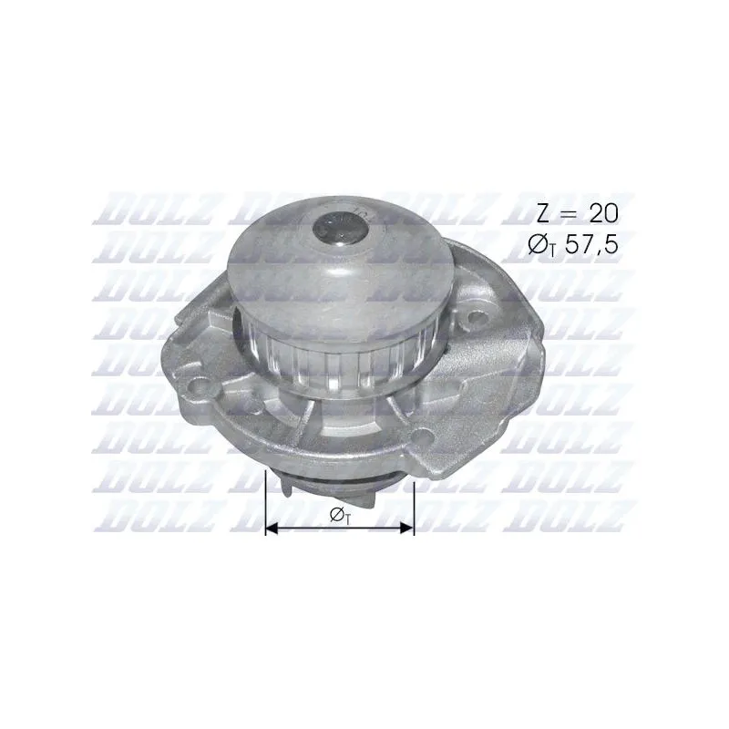 Pompe à eau DOLZ S161