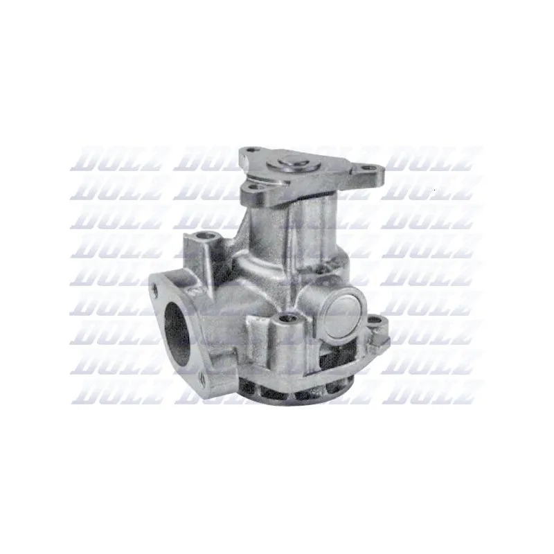Pompe à eau DOLZ S189