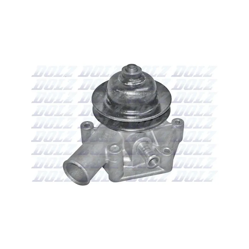 Pompe à eau DOLZ S195