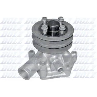 Pompe à eau DOLZ S198