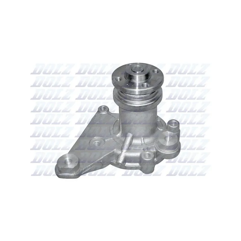 Pompe à eau DOLZ S200