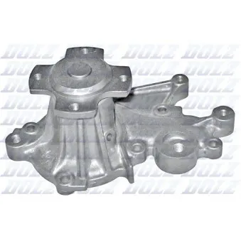 Pompe à eau DOLZ S203