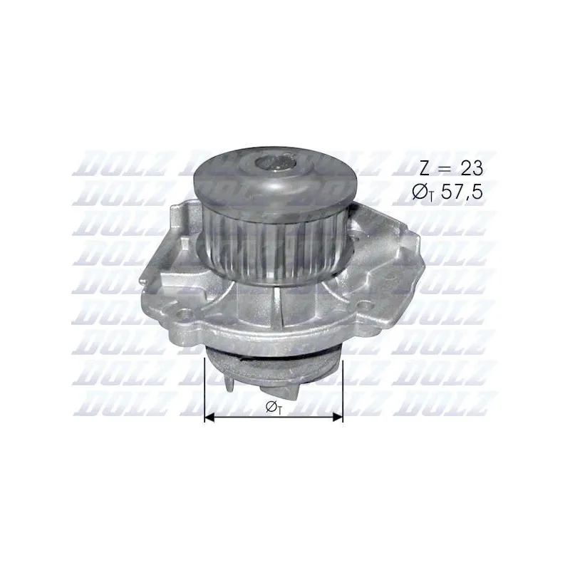 Pompe à eau DOLZ S219
