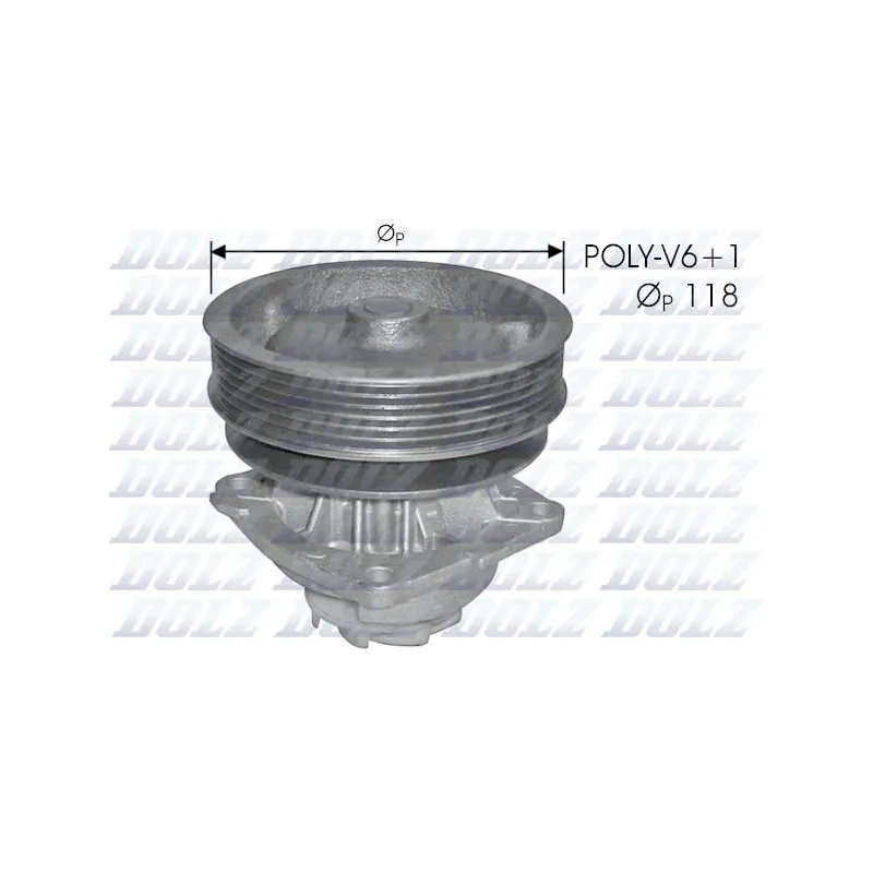 Pompe à eau DOLZ S224