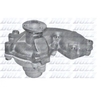 Pompe à eau DOLZ S234