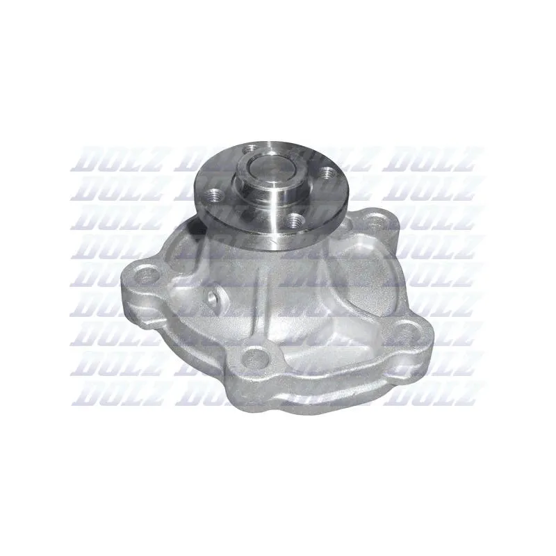 Pompe à eau DOLZ S242