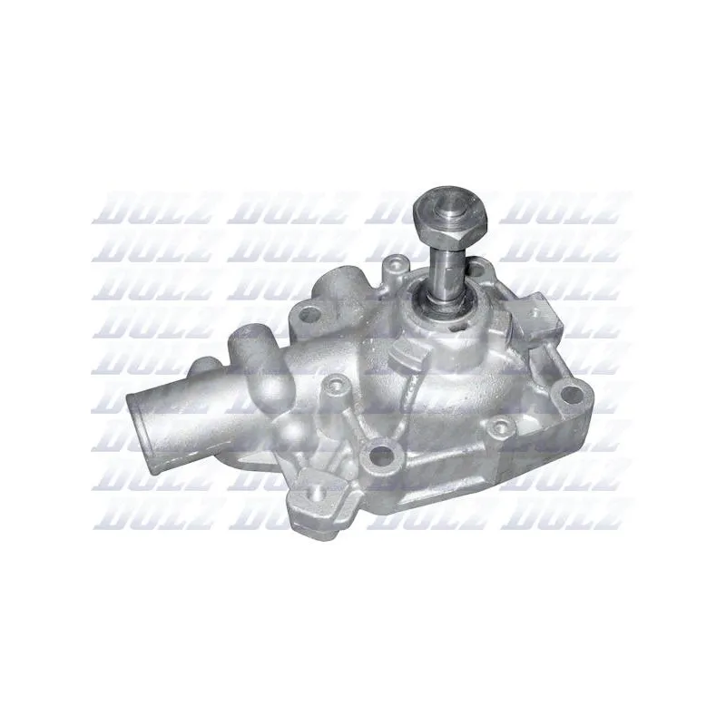 Pompe à eau DOLZ S252
