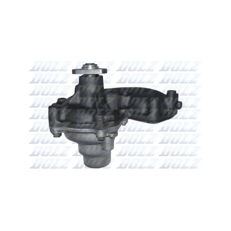 Pompe à eau DOLZ S281