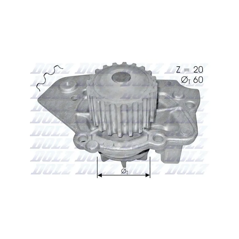 Pompe à eau DOLZ T136