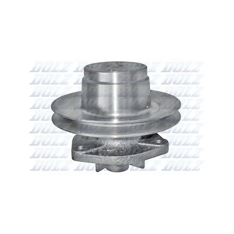 Pompe à eau DOLZ T141