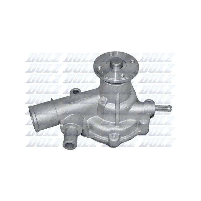Pompe à eau DOLZ T181