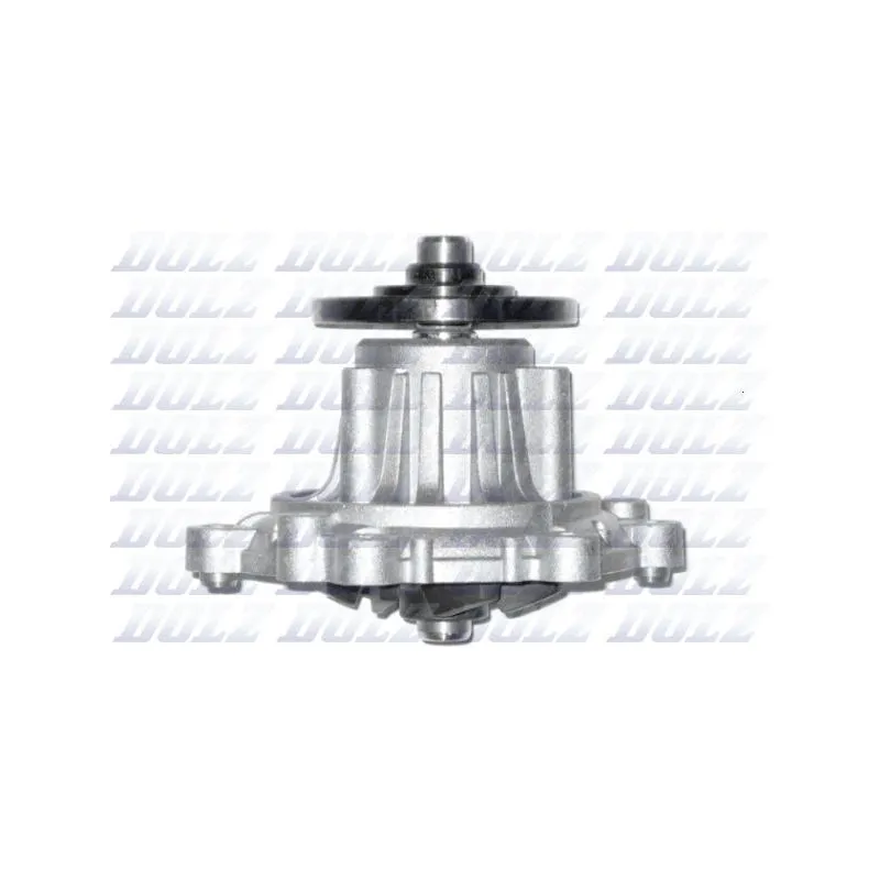 Pompe à eau DOLZ T186