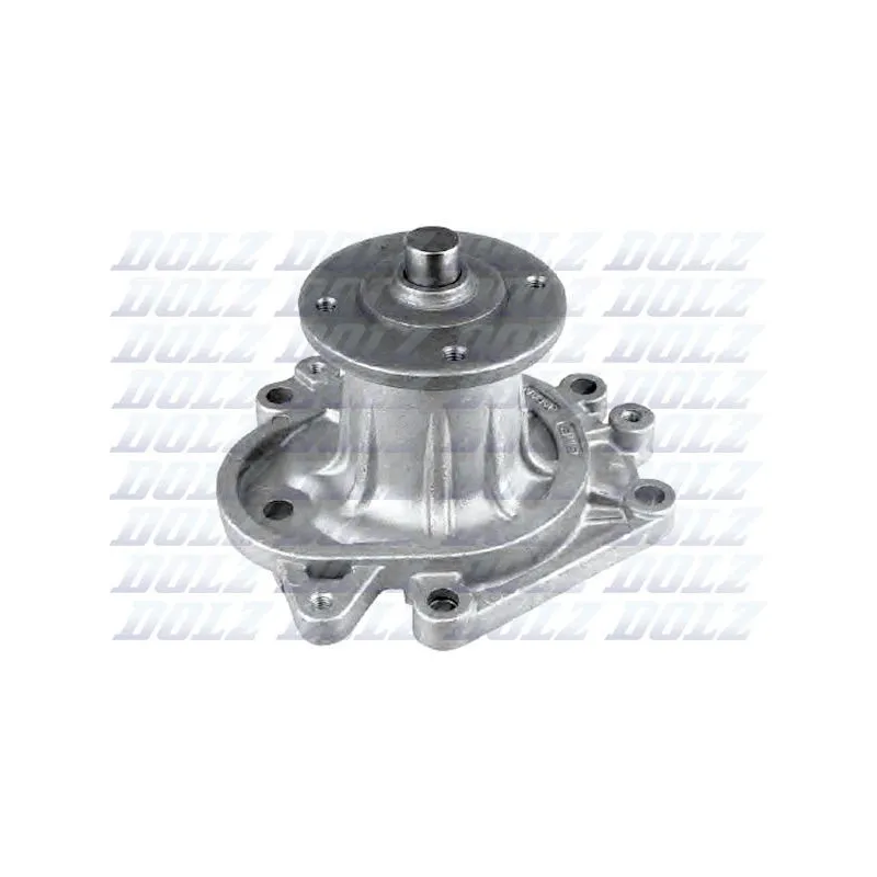 Pompe à eau DOLZ T187