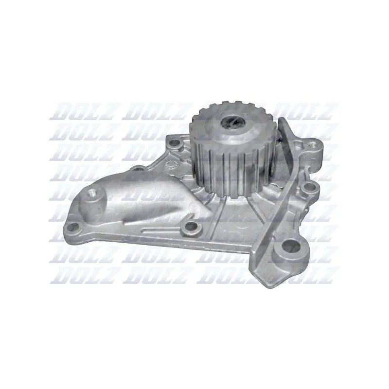 Pompe à eau DOLZ T189
