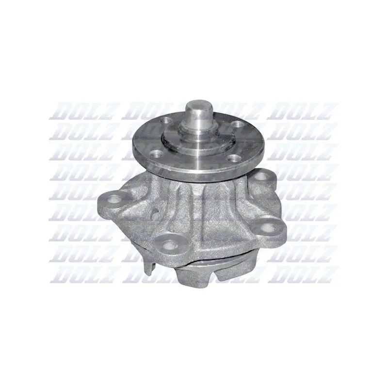 Pompe à eau DOLZ T220