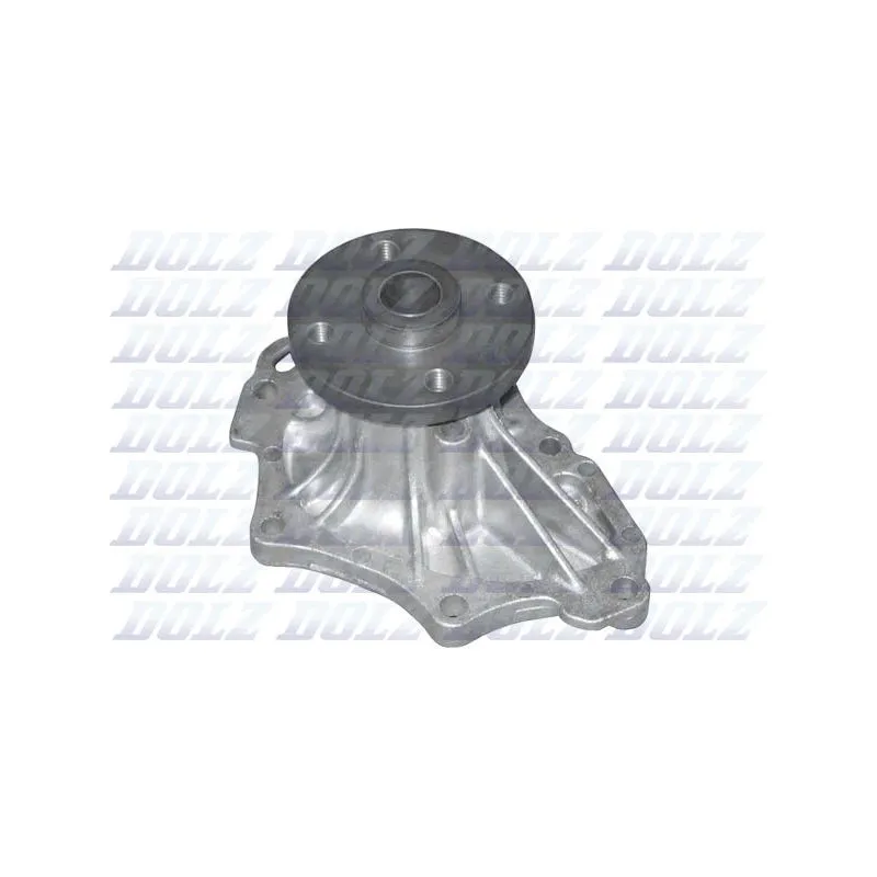 Pompe à eau DOLZ T225
