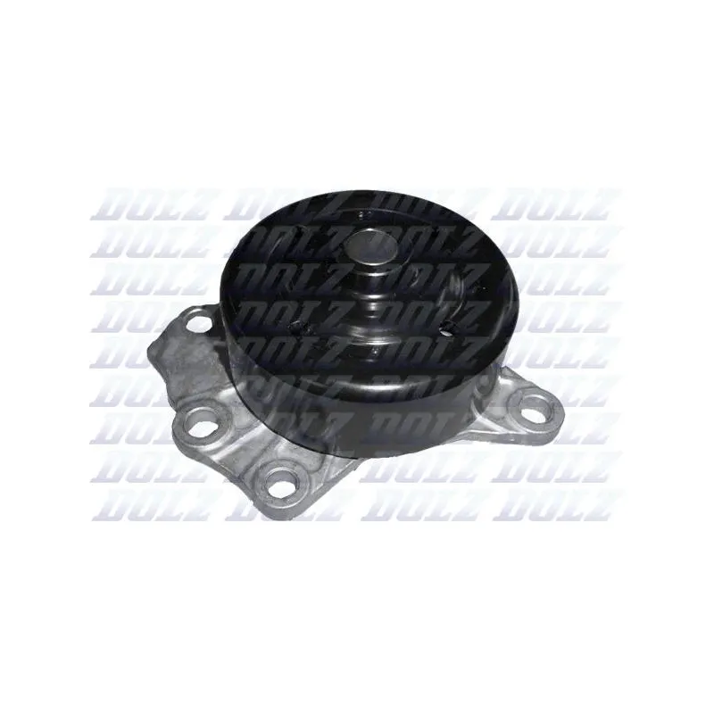 Pompe à eau DOLZ T226