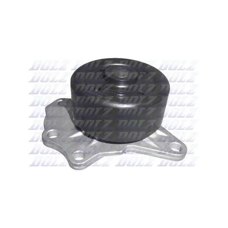 Pompe à eau DOLZ T236
