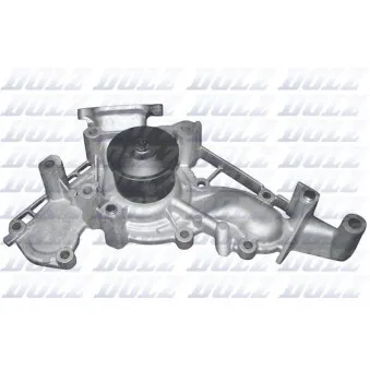 Pompe à eau DOLZ T250