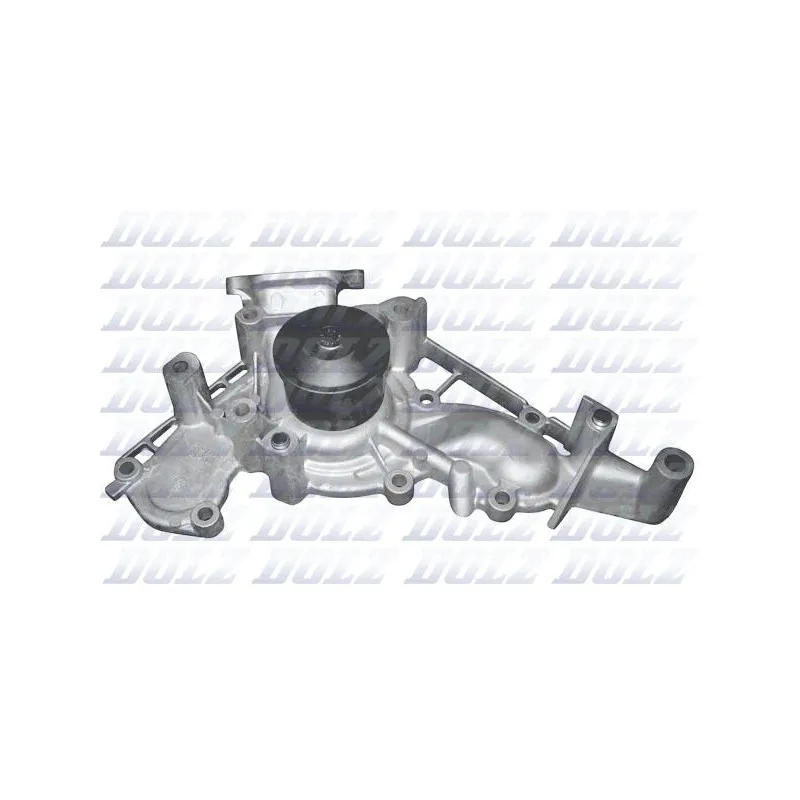 Pompe à eau DOLZ T250