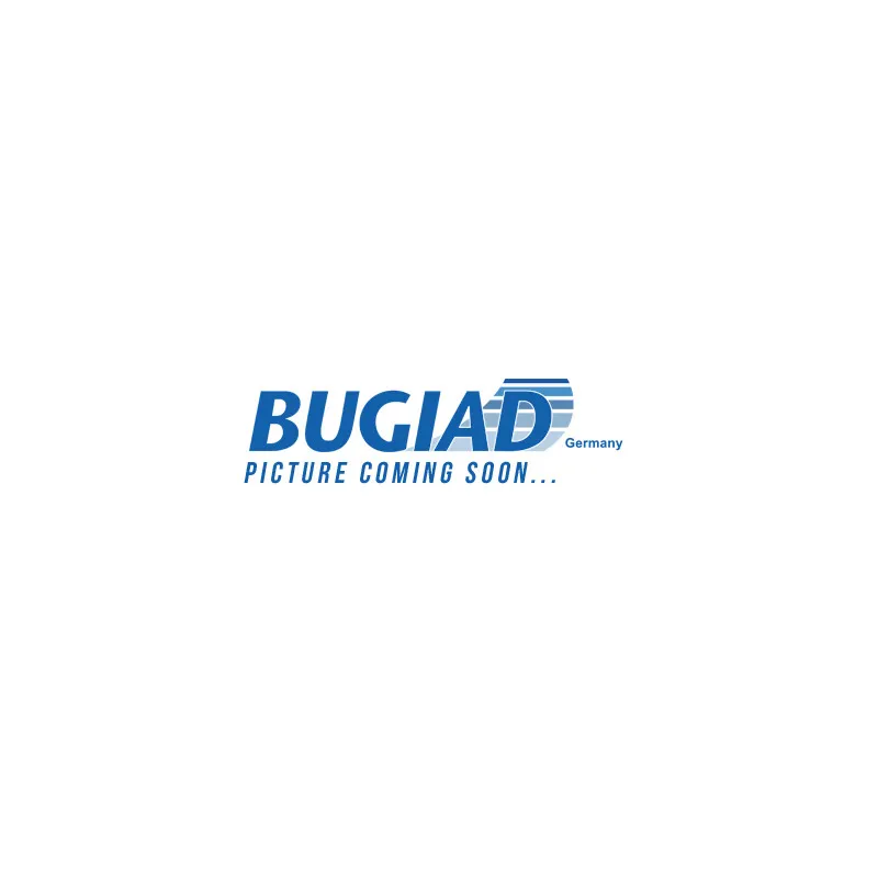 Serrure de porte BUGIAD BDL14022