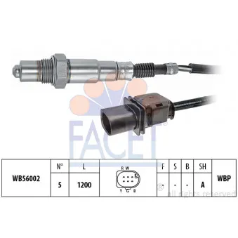 Sonde lambda FACET 10.8481