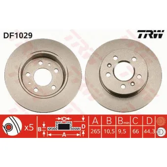 Jeu de 2 disques de frein arrière TRW DF1029